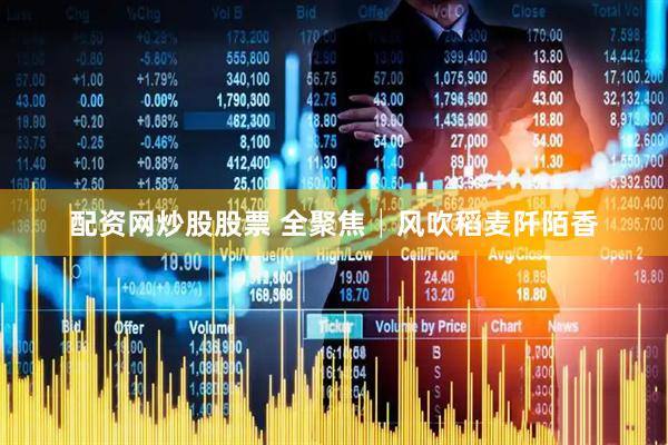 配资网炒股股票 全聚焦│风吹稻麦阡陌香
